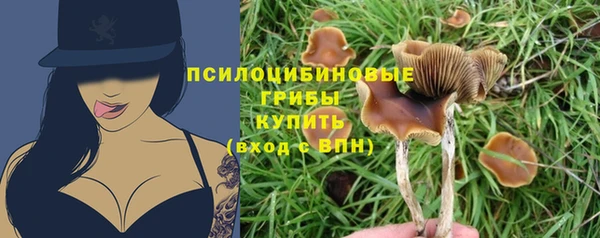 герыч Аркадак