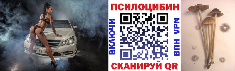 Галлюциногенные грибы Psilocybine cubensis Красный Кут